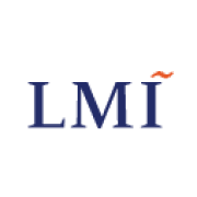 LMI Consulting, LLC logo